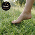 Tiếng Chân Trần Mềm Trên Cỏ Tươi – Soft Barefoot Sound